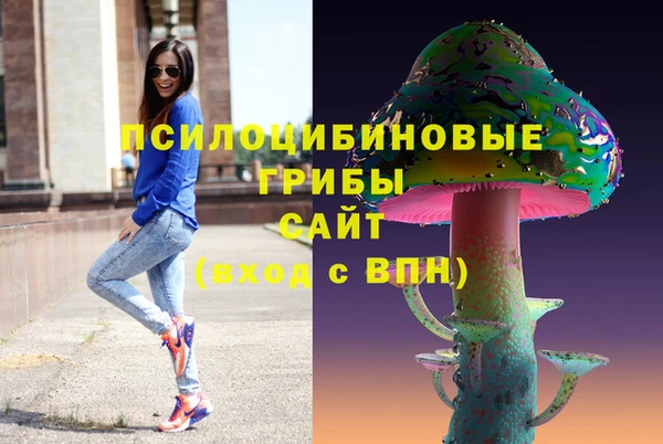spice Медвежьегорск